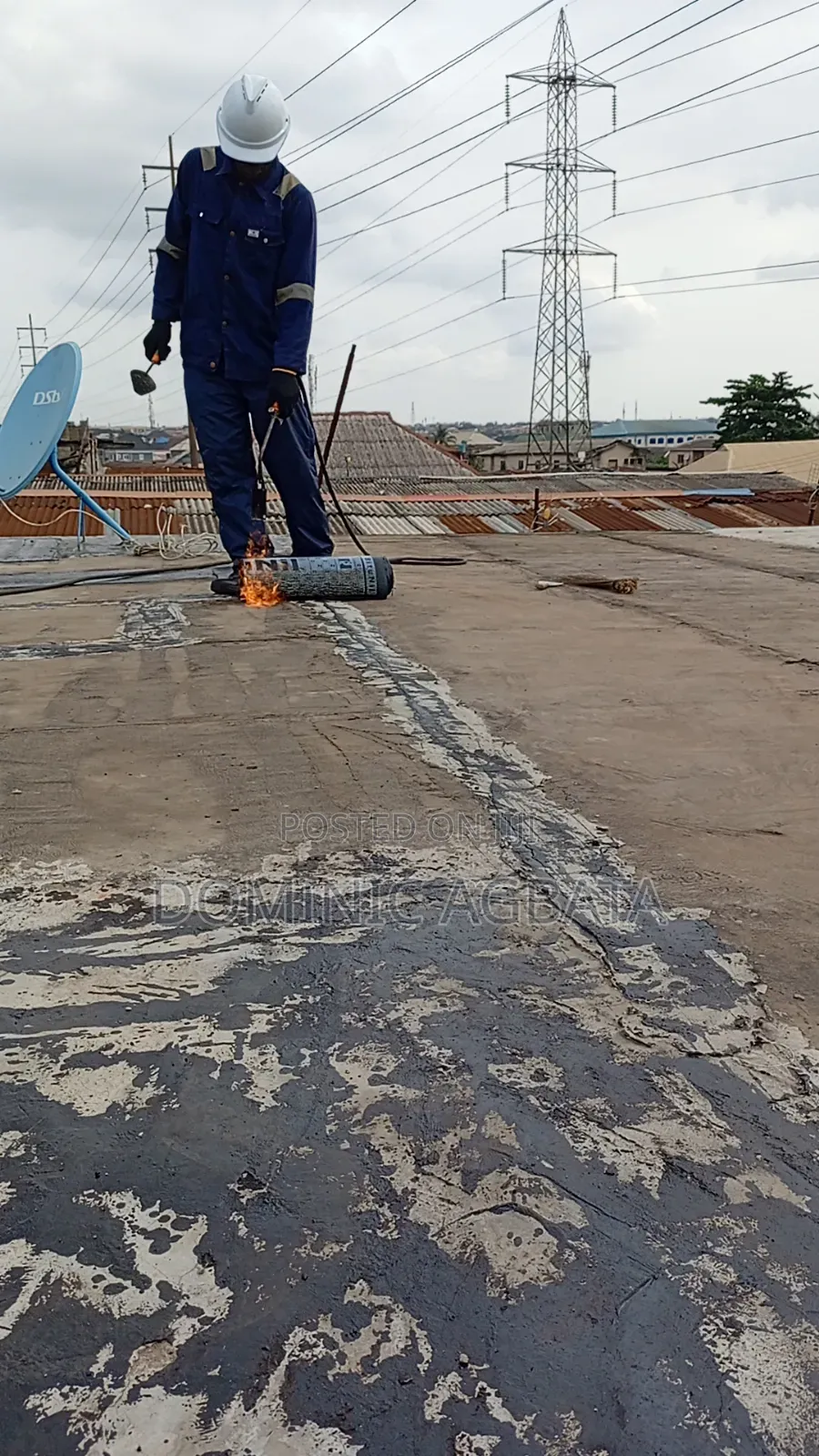 Whimsical Waterproofing Expert