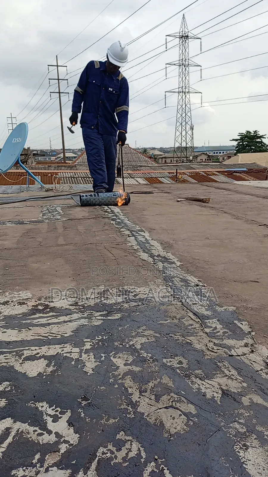 Whimsical Waterproofing Expert