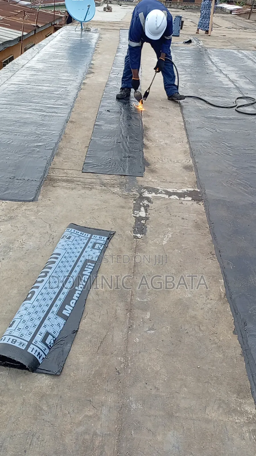 Whimsical Waterproofing Expert