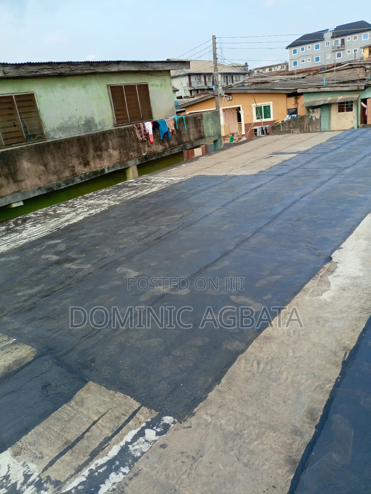 Whimsical Waterproofing Expert
