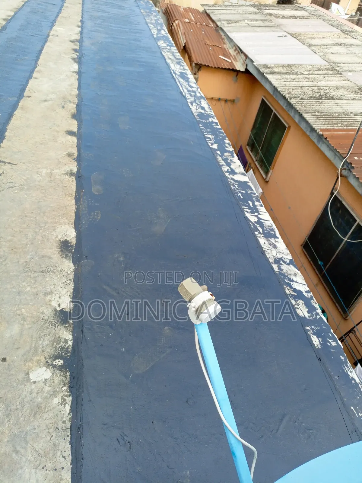 Whimsical Waterproofing Expert