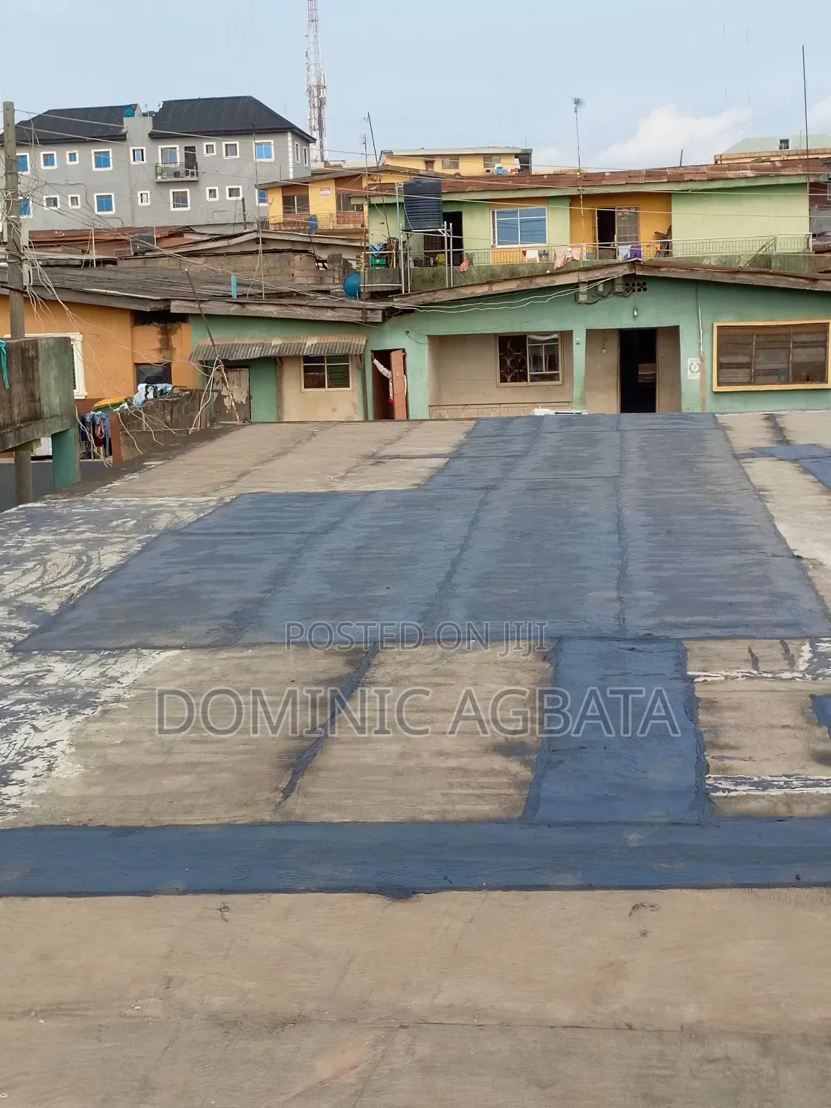 Whimsical Waterproofing Expert