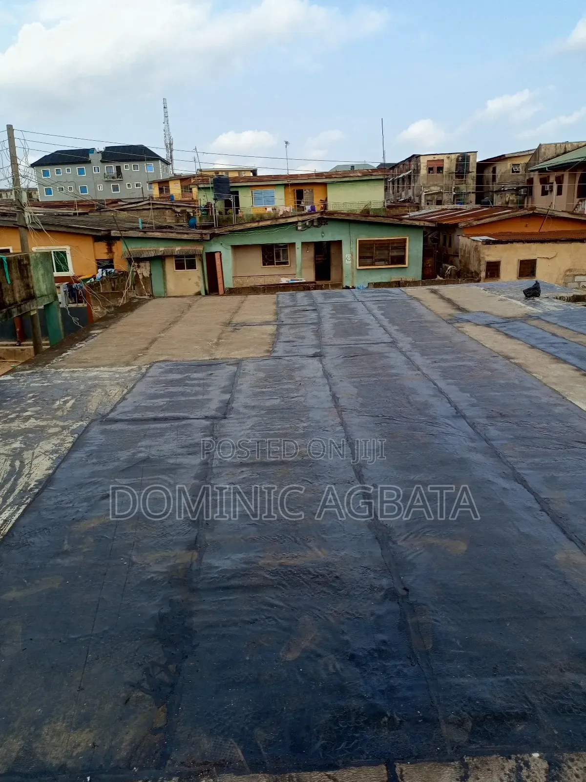 Whimsical Waterproofing Expert