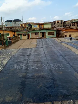 Whimsical Waterproofing Expert