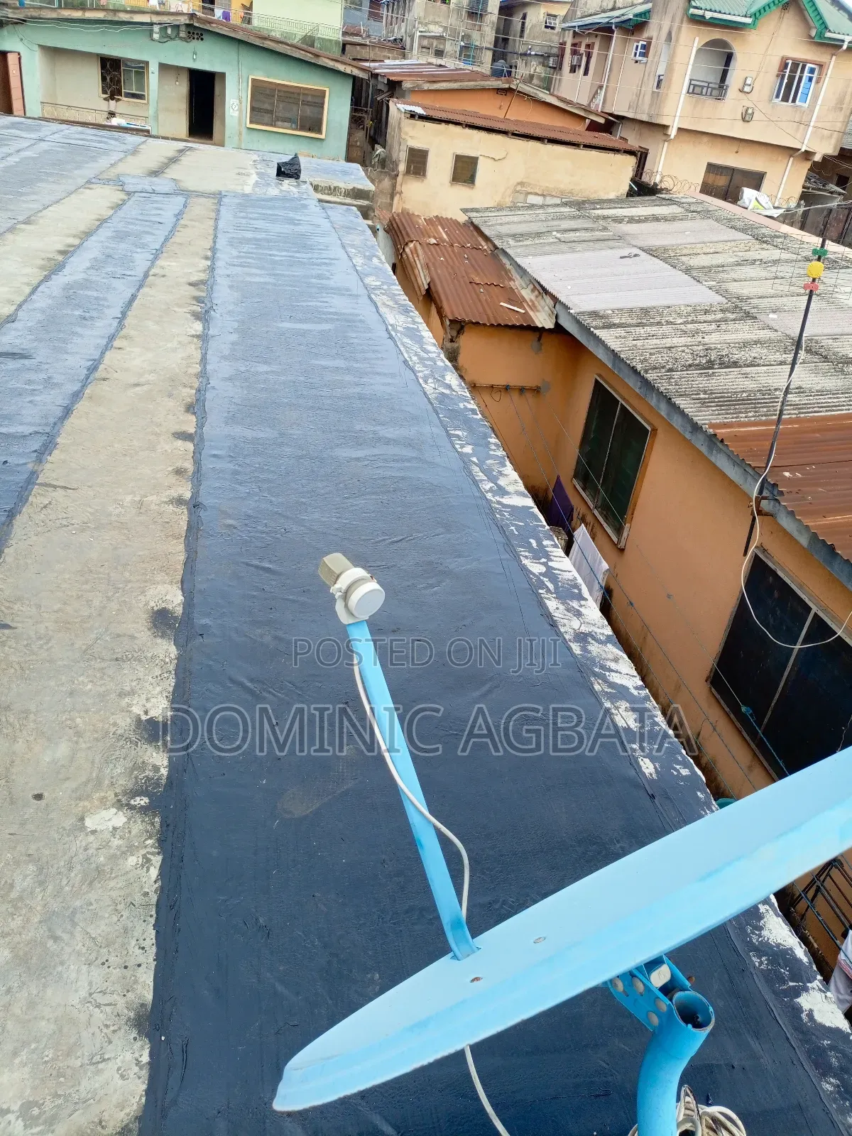Whimsical Waterproofing Expert