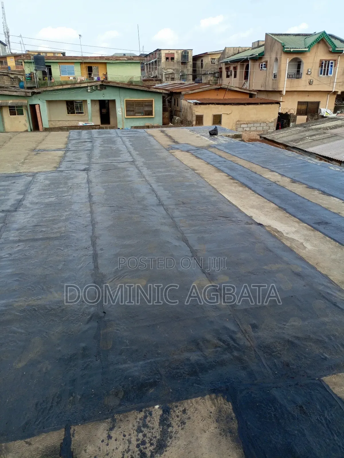 Whimsical Waterproofing Expert
