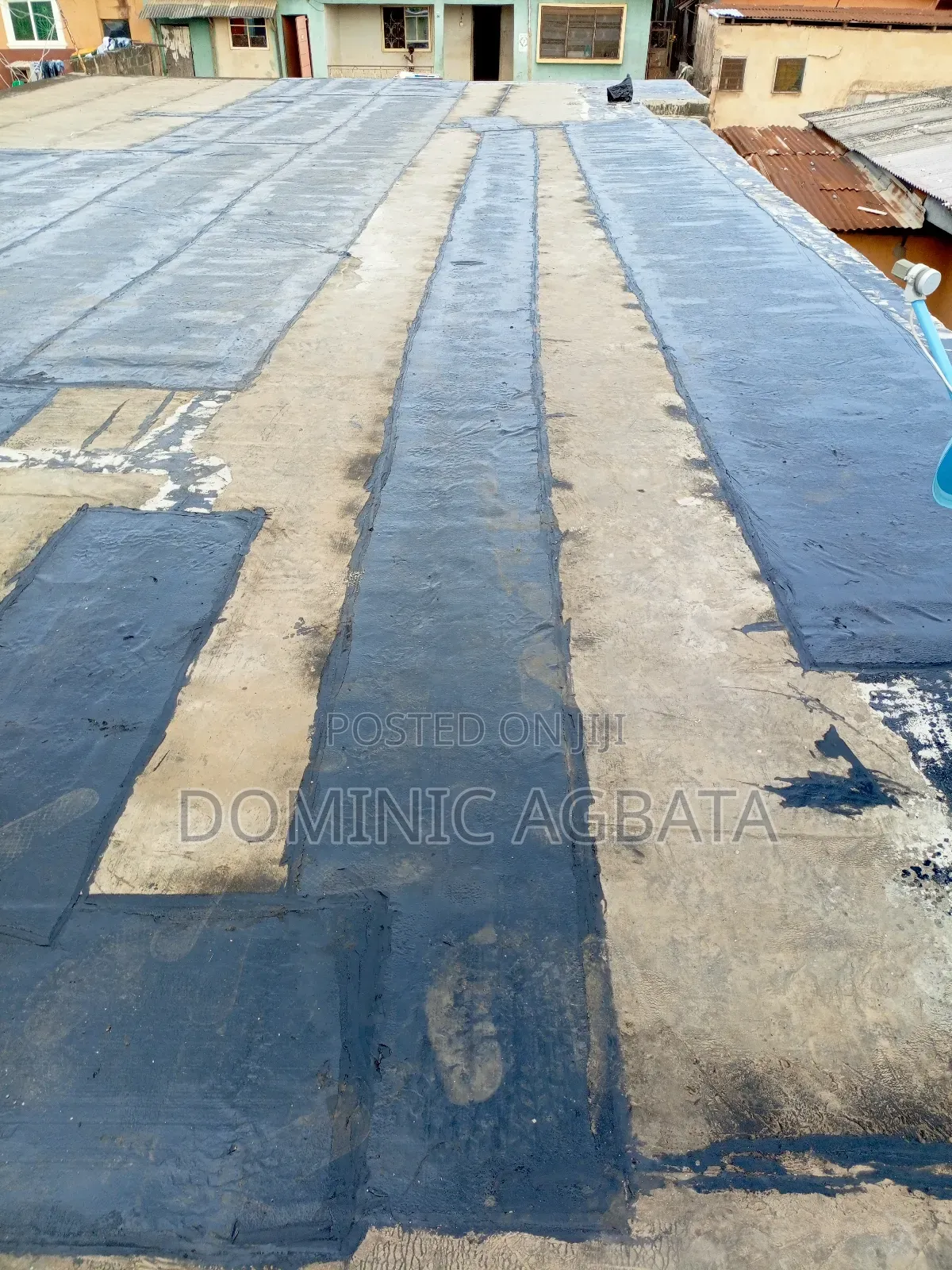 Whimsical Waterproofing Expert