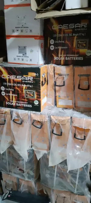 220ah-12v Caesar Solar Energy Tubular Battery