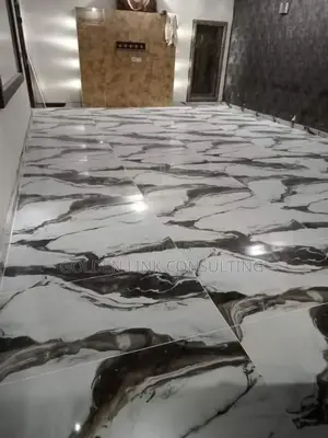 Professional Tiling Work