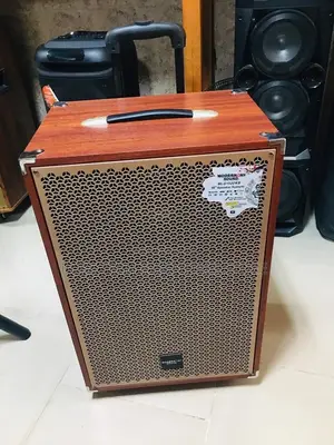 Modern Day 15" Inches Speaker 6500wattt With Two Microphone