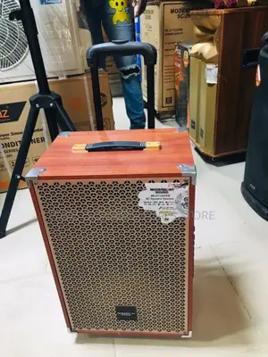 Modern Day 12” Speaker Comes With Two Microphone .