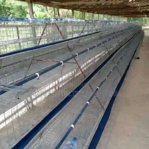 Battery Cage