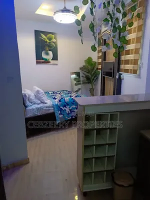 Furnished Studio Apartment in Alausa for rent