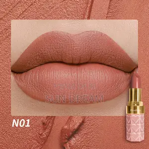 Matte Lip Stick Make Up Color Lipstick Lipgloss