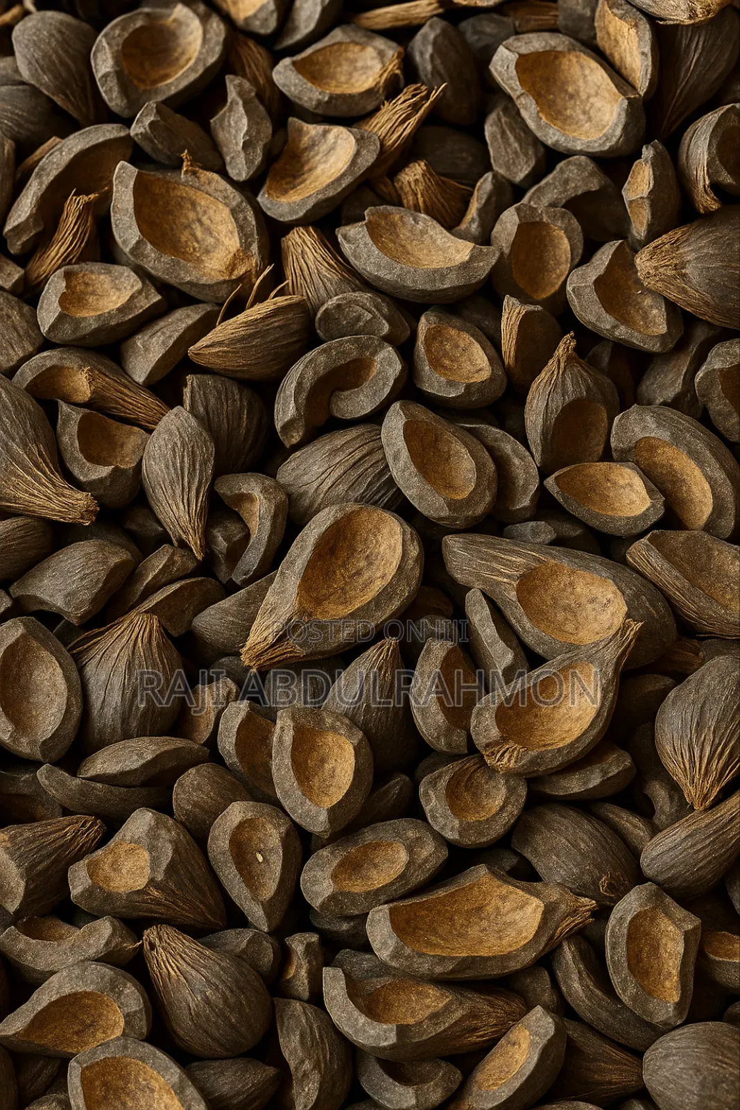 Quality Palm Kernel Shell ( PKS )