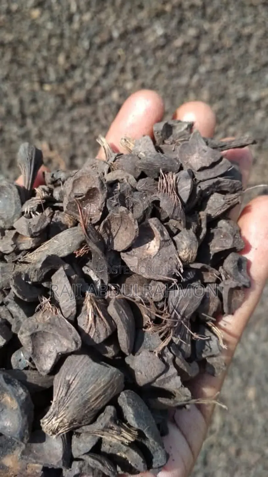 Quality Palm Kernel Shell ( PKS )