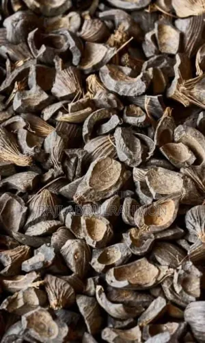 Quality Palm Kernel Shell ( PKS )