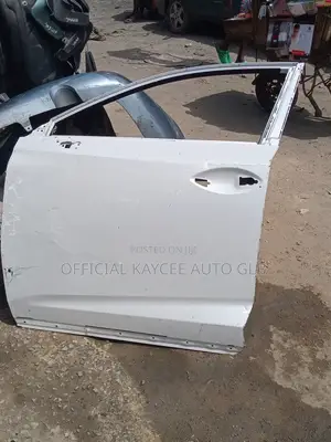 Front Door Camry 012