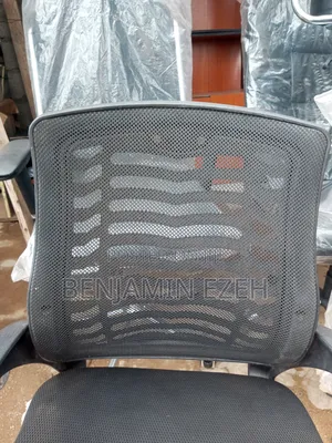 Back of Office Chair