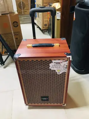 Modern Day 10" Speaker Comes With Two Microphone.