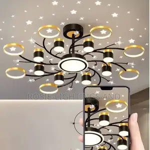 Nordic Starry Sky Led Ceiling Chandelier (Black Gold)