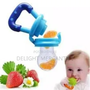 Baby Kids Fruit Feeder