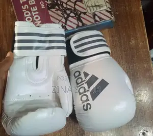 Children Adidas Boxing Gloves