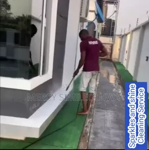Professional Cleaning Company