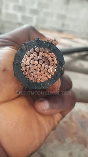 300mm Single Armoured Cable and Wire , PVC PVC Cable