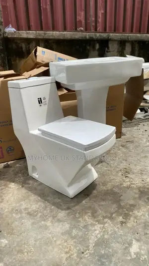 Executive England Wc With Basin and Pedestria.
