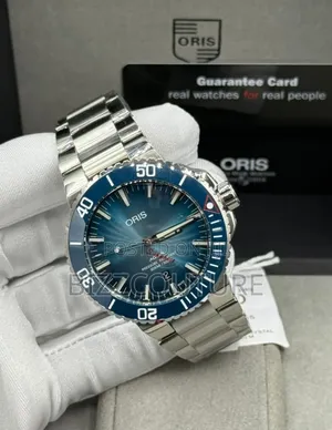 Original Oris Silver Stainless Steel Watch Available Instore