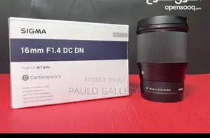 Sigma 16mm F1.4 Dc Dn Len's