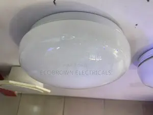 Ceiling Fittings Bulbs Light