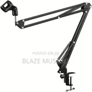 Blaze Professional Microphone Stand