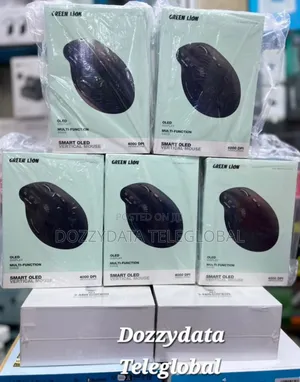 Greenlion Smart Oled Vertical Mouse