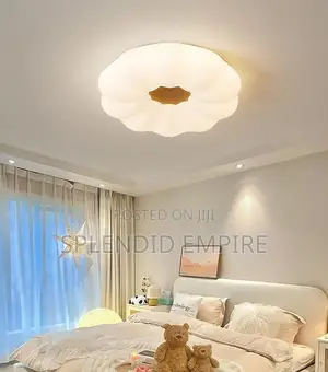 Luxury Flush Light for Ceiling