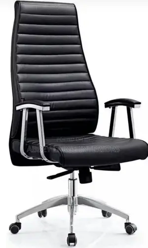 Director And Visitor Office Chair
