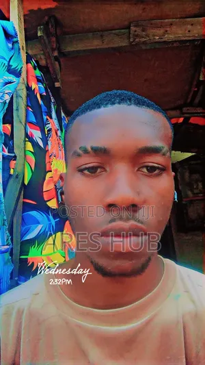 Web Dev and Graphics Design