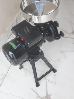 Industrial Wet and Dry Grinder