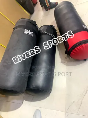 Everlast Punching Boxing Bag