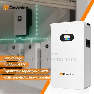 Dnew 51.2v 100ah Wall Solar System Lifepo4 Energy Powerwall