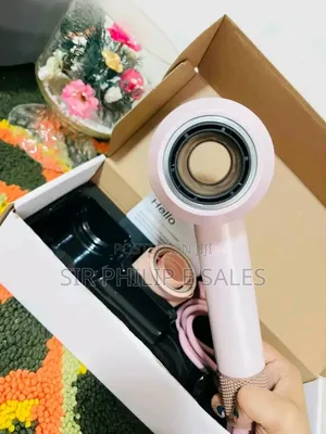 Professional Hair Dryer