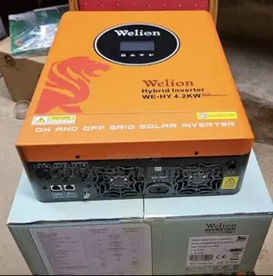 4.2kva 24v Welion Hybrid Inverter