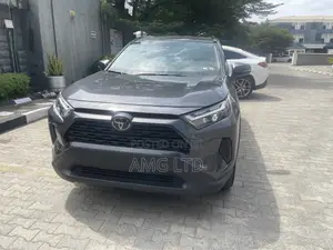 Toyota RAV4 XLE AWD 2024 Gray