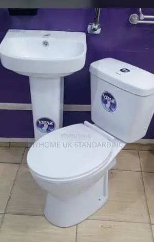 Vstar Mini Set Water Closet With Basin and Pedestria.