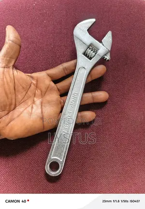 10" (250mm) Forged Steel Adjustable Spanner