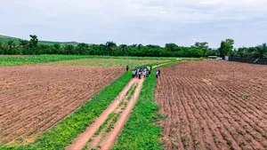Agricultural Farmland | Affordable Lands for Sale in Abuja