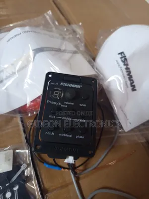 Fishman Guitar Pick Up. Or Pre Amp
