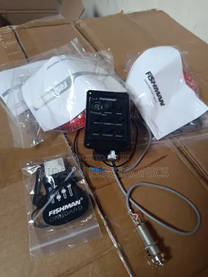 Fishman Guitar Pick Up. Or Pre Amp