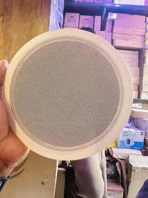 10watts Passive Ceiling Speakers